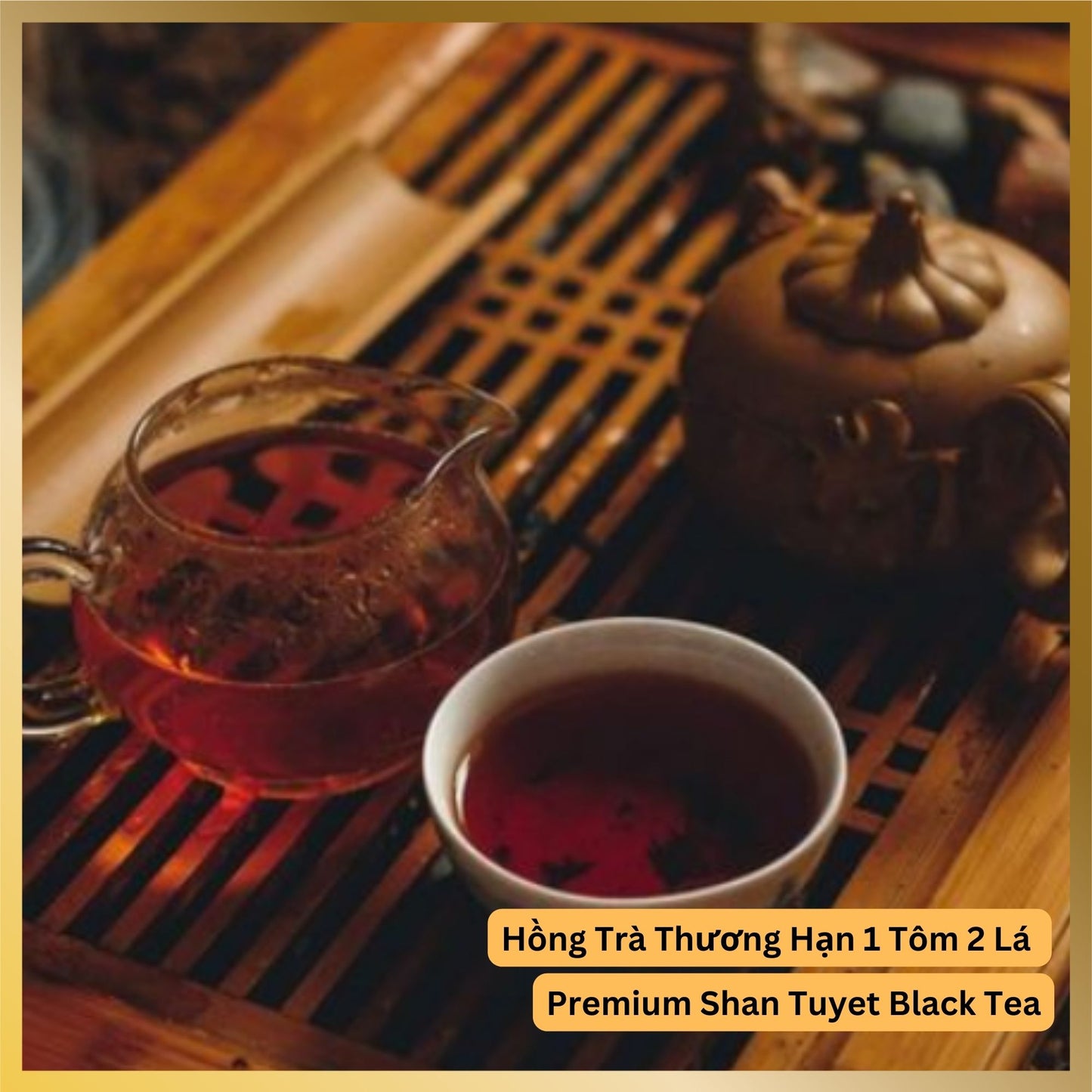 A set of tea pot tea kettle and a cup of High quality Shan Tuyet Snowy Mountain River Tea from Ha Giang Vietnam with delicious deep rich flavor, trà Shan Tuyết Hà Gian Hảo Hạn