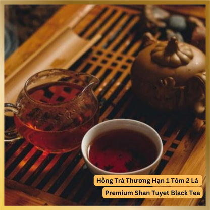 A set of tea pot tea kettle and a cup of High quality Shan Tuyet Snowy Mountain River Tea from Ha Giang Vietnam with delicious deep rich flavor, trà Shan Tuyết Hà Gian Hảo Hạn